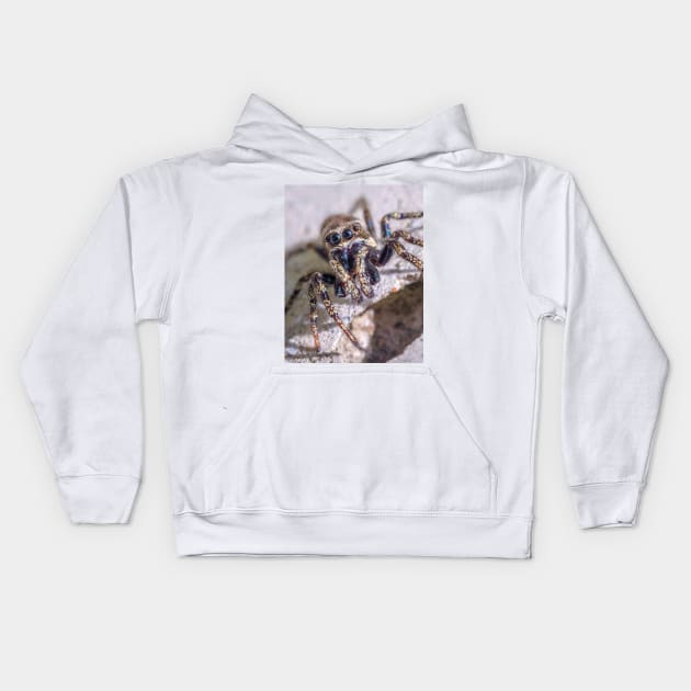 What's Shakin' Spidey? Jumping Spider Macro Photograph Kids Hoodie by love-fi